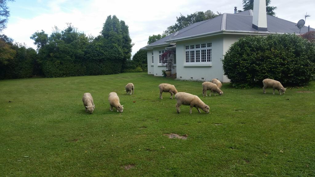 家园住宿加早餐旅馆 坎布里奇 外观 照片